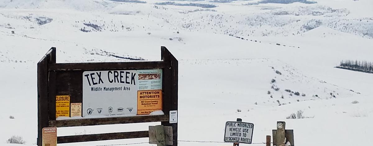 Snow covers winter range on Tex Creek WMA in 2017