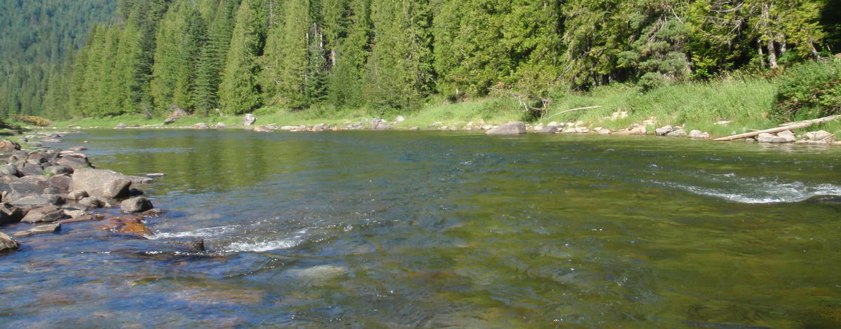 View of Priest River