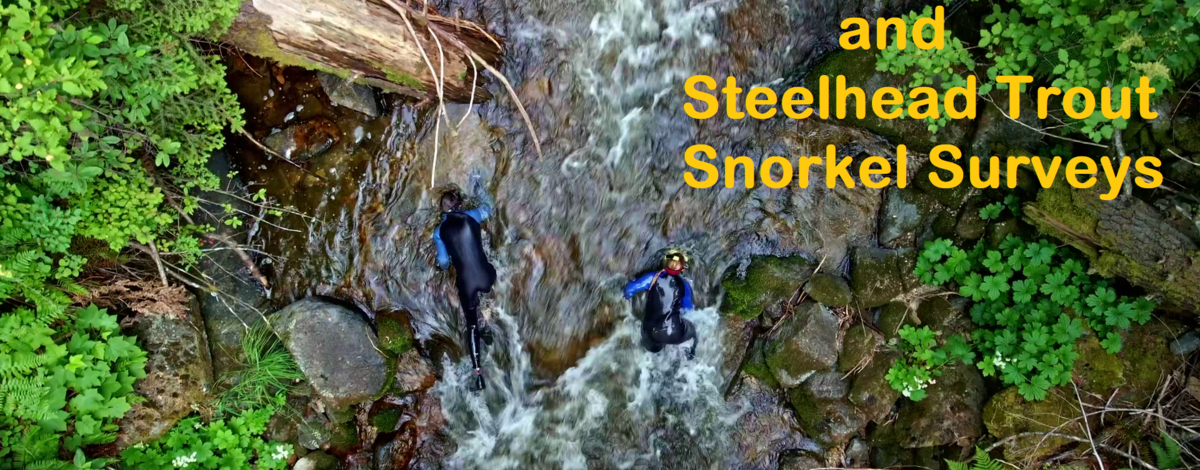 wss_snorkel_-_thumbnail