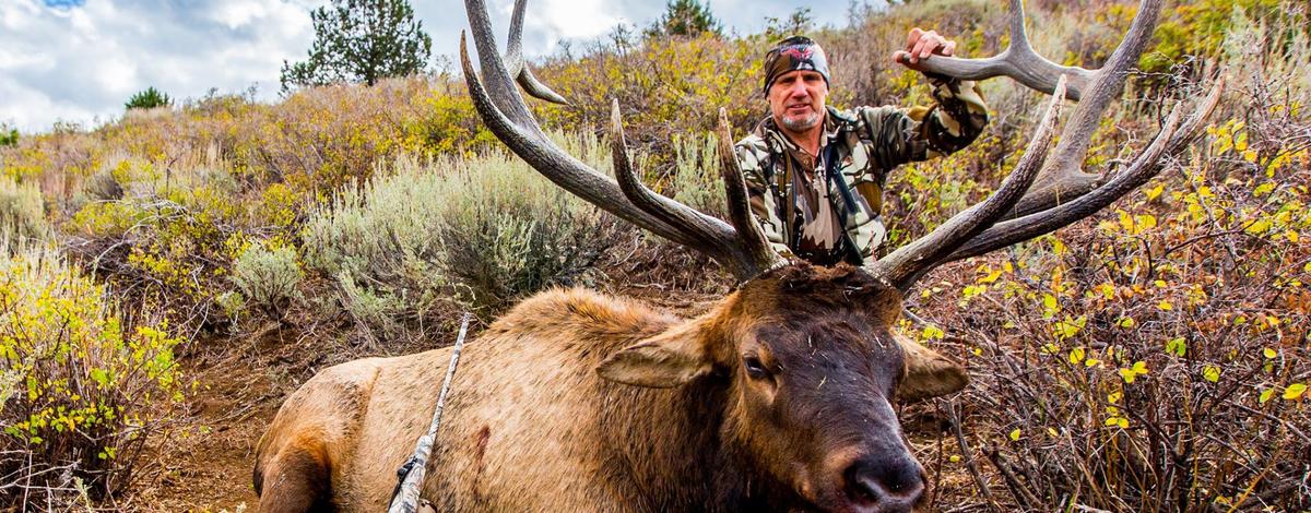 Greg Puffe with his bull elk from the super hunt February 2016