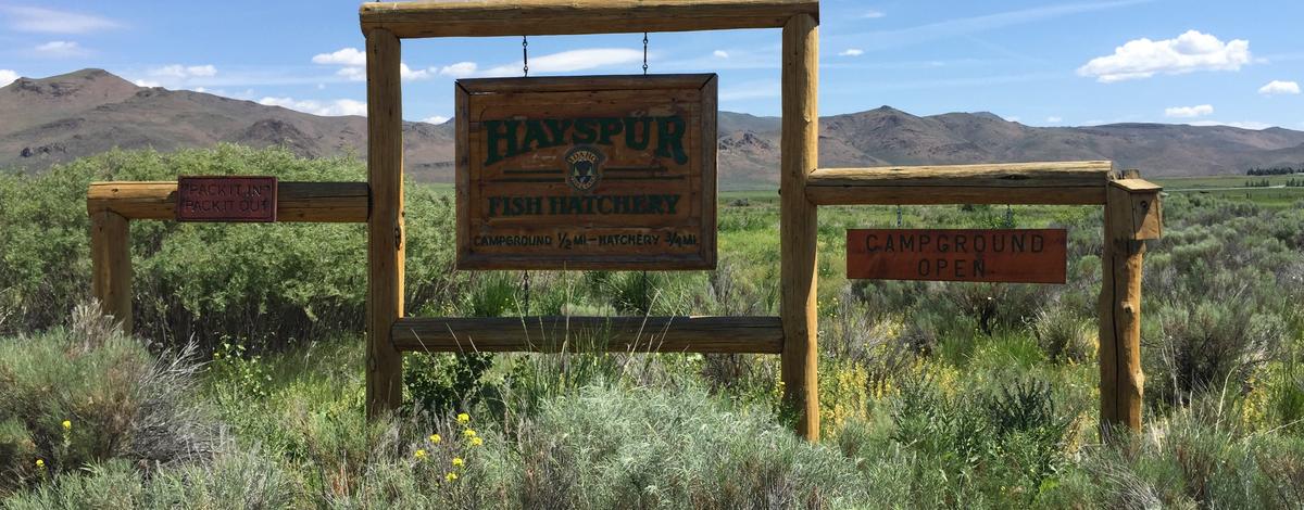Hayspur fish hatchery informational sign wide shot June 2015