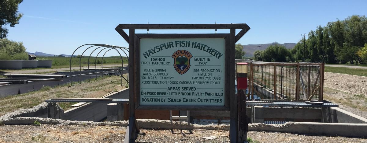 Hayspur fish hatchery informational sign and fish runs medium shot June 2015