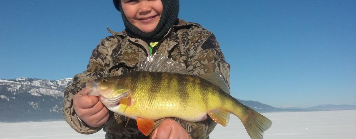 girl with her perch from ice fishing 