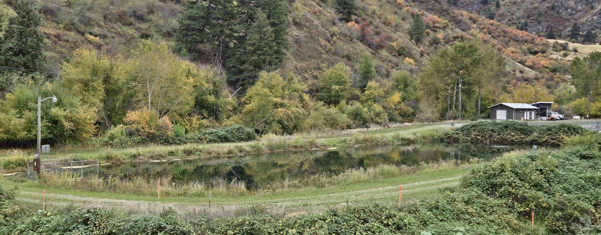Trout pond, rapid river hatchery