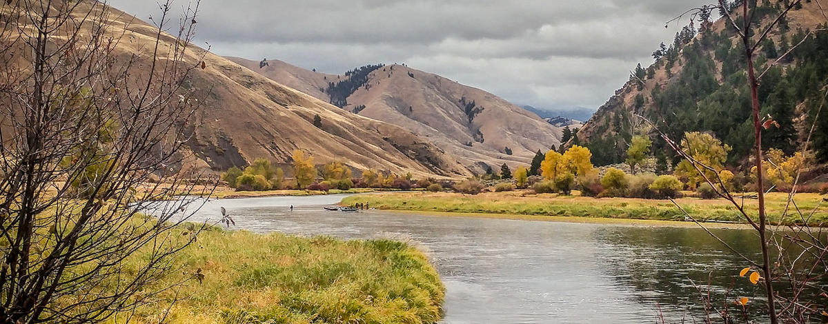 Steelhead anglers below North Fork