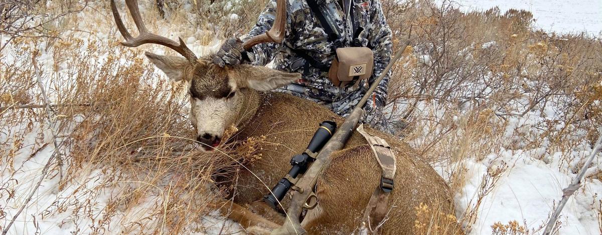 Super Hunt Deer 2019