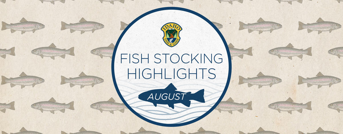 2023_fish_stocking_highlights_-_august