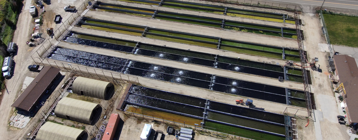 An aerial view of the old raceways at Nampa Hatchery