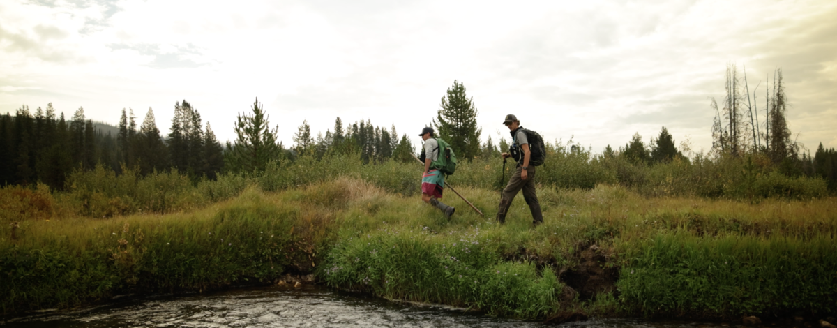 Fish and Game and Nez Perce Tribe fisheries staff survey spawning Chinook from the bank of the Secesh River