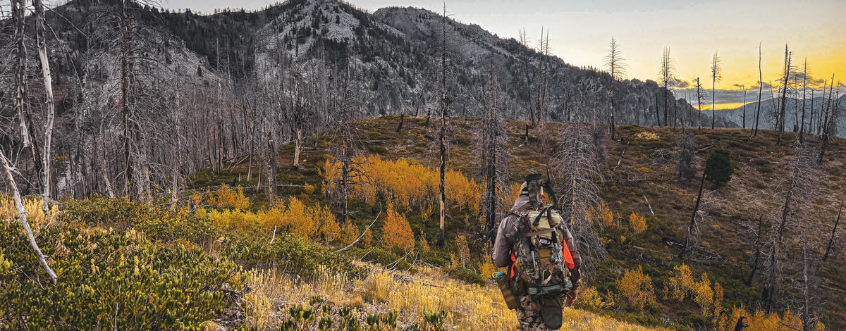 big game hunter walking along ridge 2025