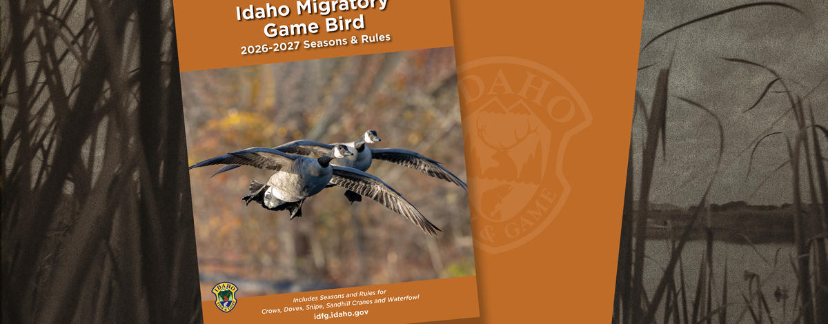 2026-2027 migratory game bird regs banner