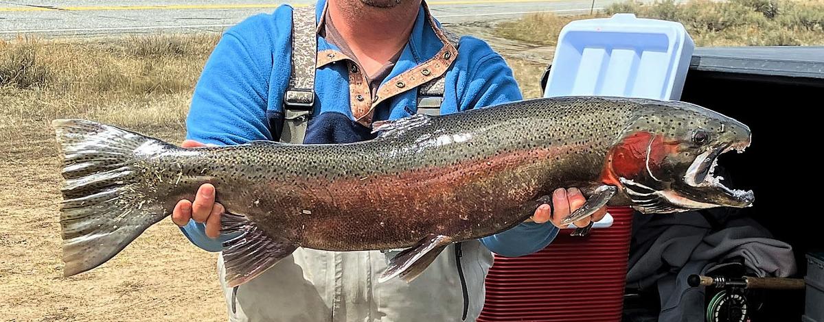 April 25: Upper Salmon River Weekly Steelhead Fishing Report