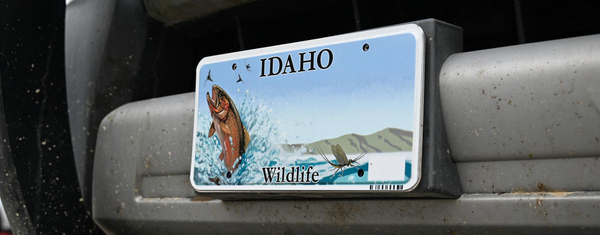 2024 Idaho wildlife license plate_002_CJL