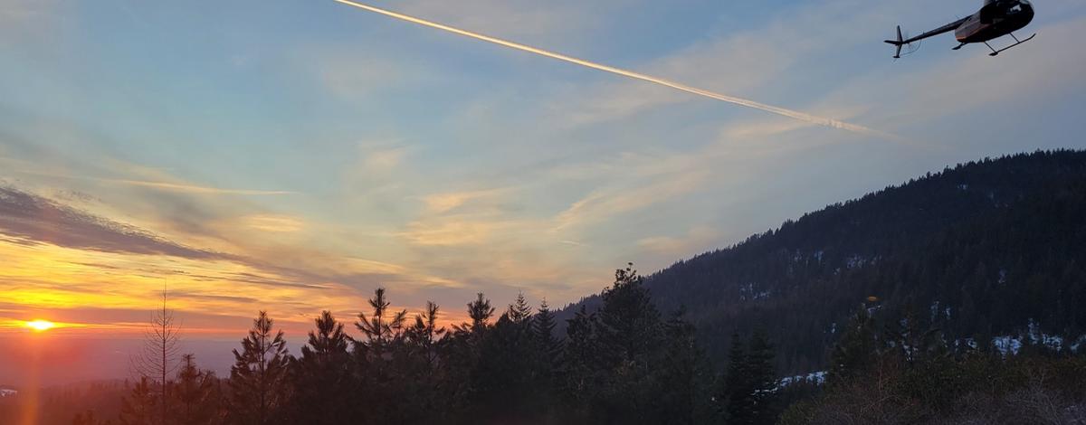 Helicopter in flight for elk captures in North Idaho.