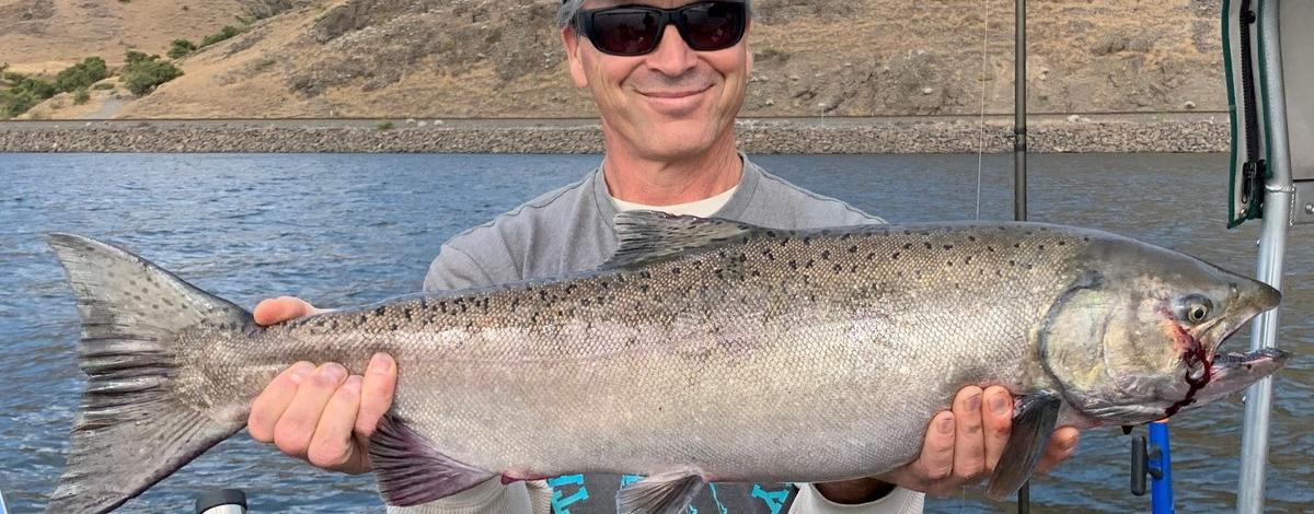 Angler holding a fall chinook