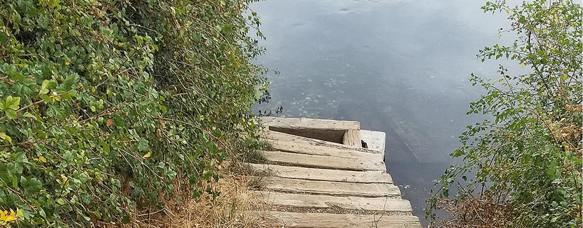 Public access point into Billingsley Creek at the Hagerman WMA