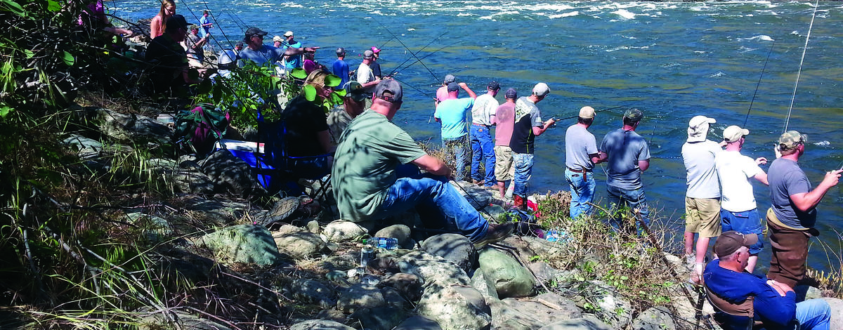 A large angler crowd on a river bank