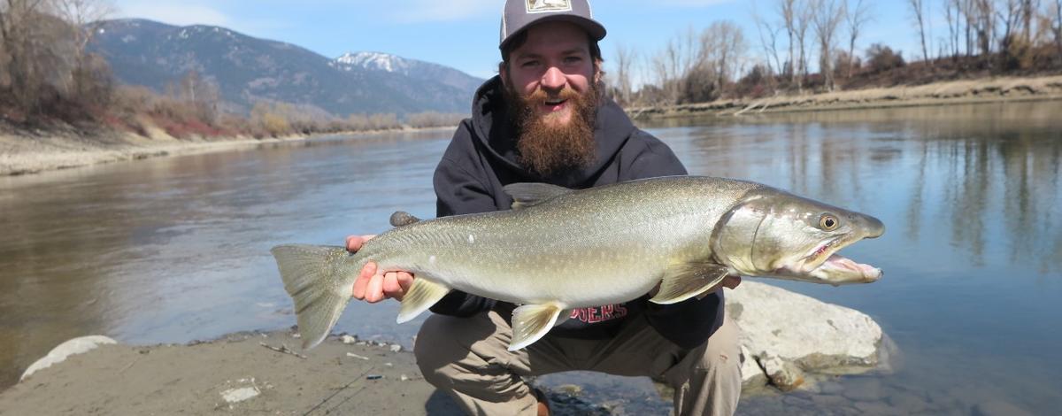New catch/release record bull trout from the Panhandle