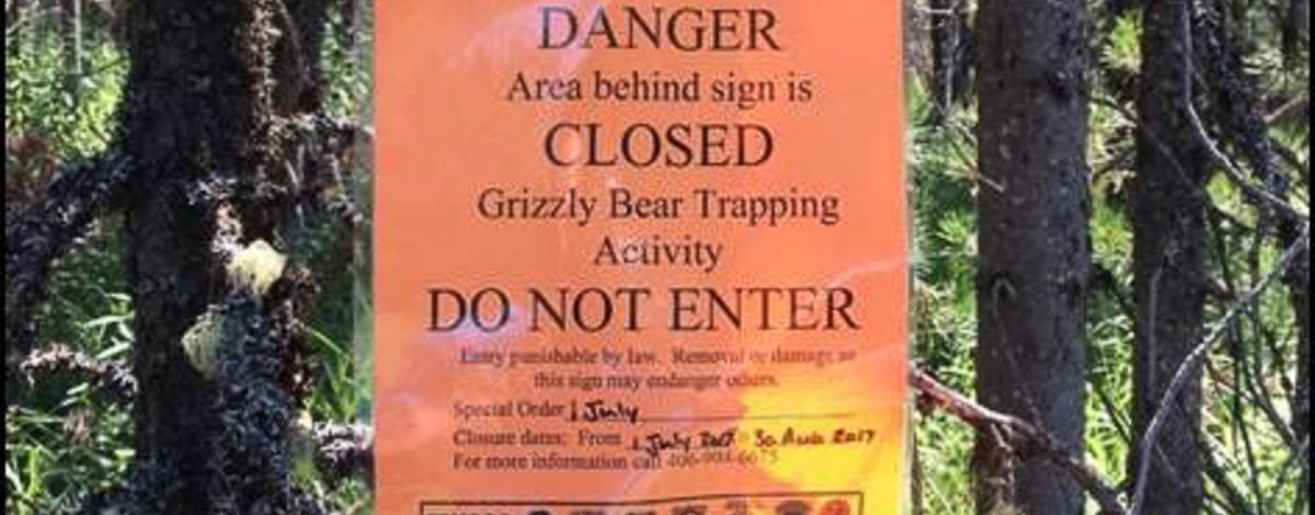 Bear Capture Sign