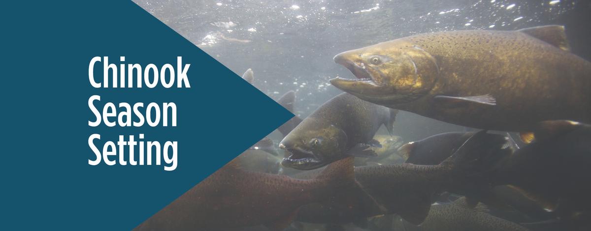 chinook season setting banner