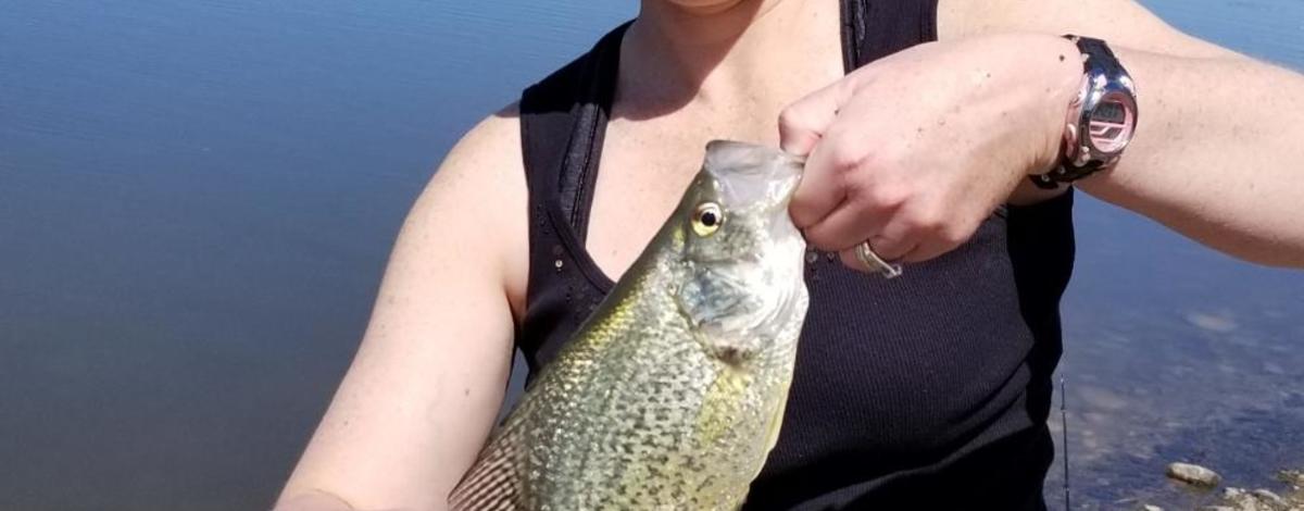 Pend Oreille River Crappie / Photo by Rob Morris