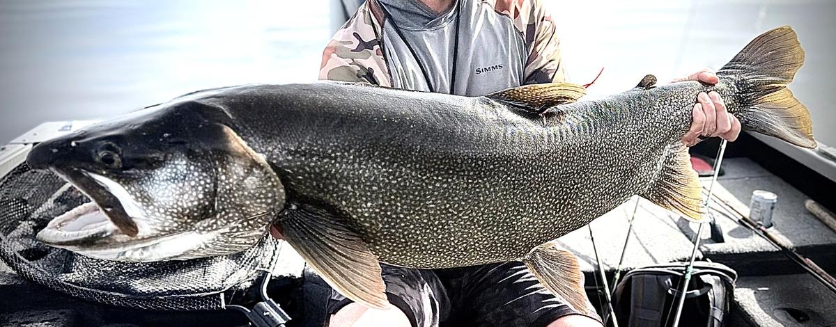 Idaho Falls angler lands 43.25-inch lake trout…and returns to the