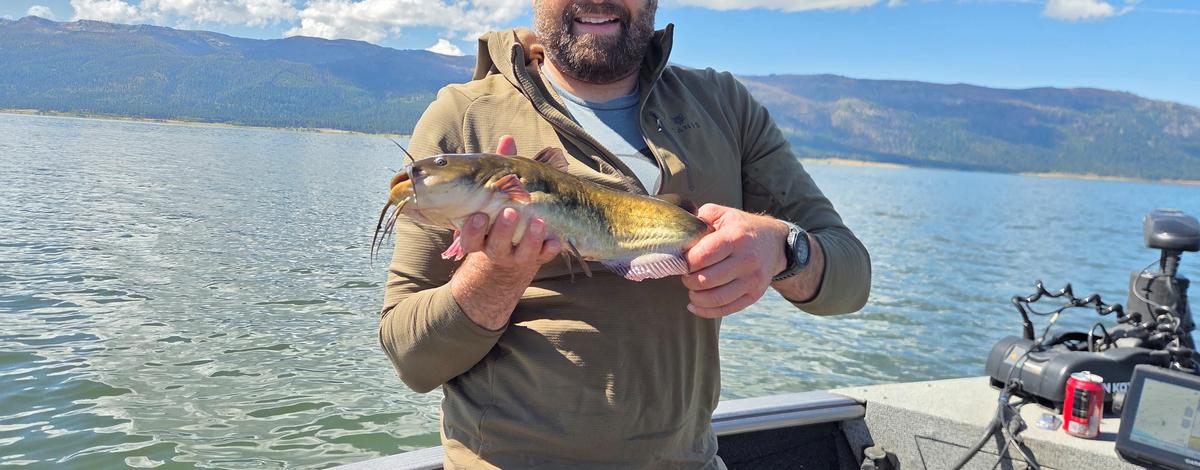 Josh DeLong with a catch-and-release state record bullhead catfish from 2026