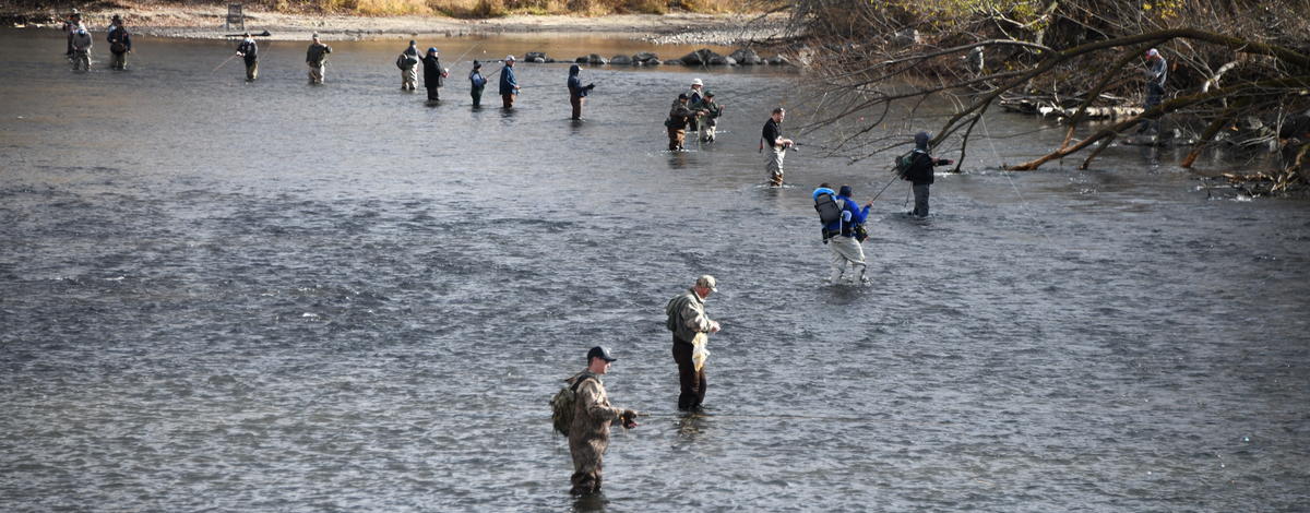 Boise River Steelhead 2020.jpg
