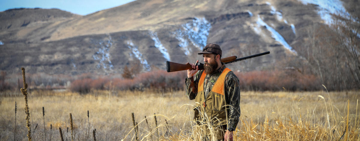 upland game hunter wearing orange standing in a corn field
