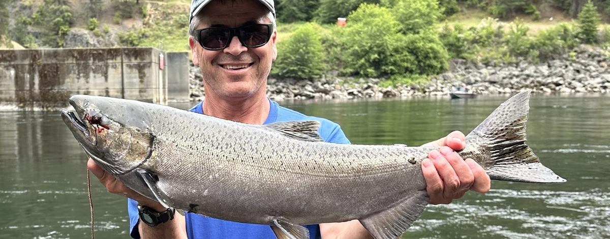 salmon caught in North Fork