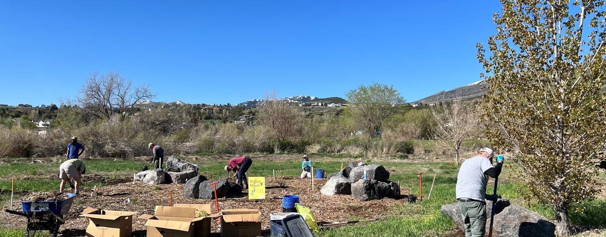 Under a blue spring sky, volunteers plant vegetation in open area of the Edson Fichter Nature Area.