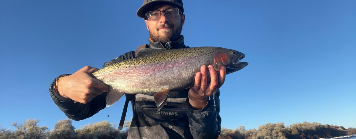 Man holds a large rainbow trout with a blue sky in the background