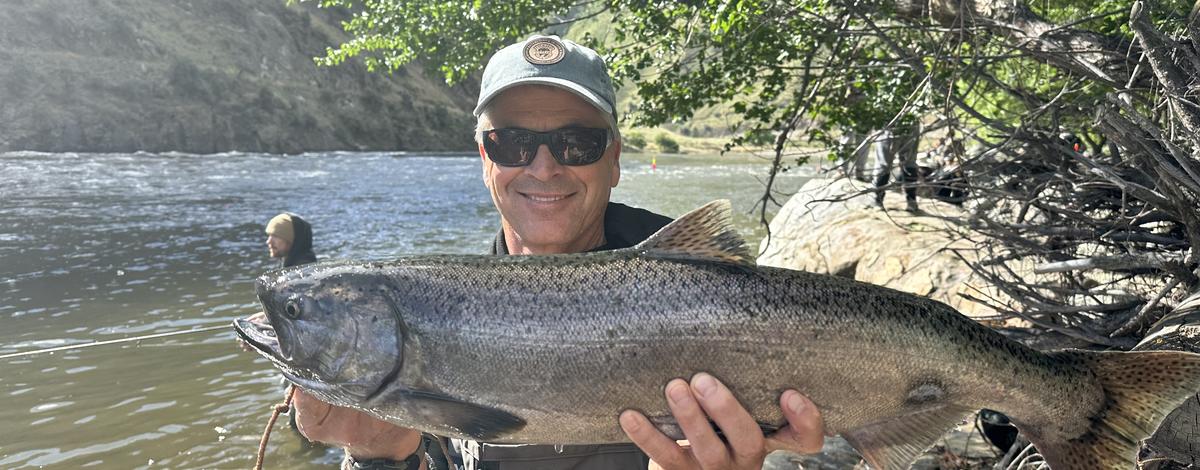 Chinook caught at Riggins