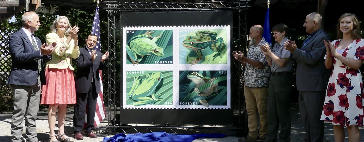 Frog stamps dedication.jpeg