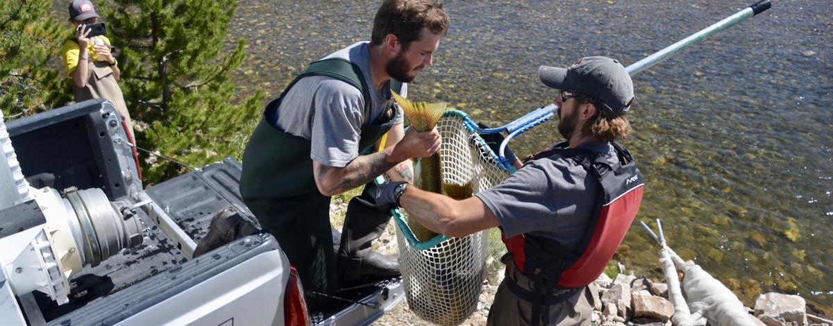 Sawtooth Chinook Roundup 2019-7.jpeg