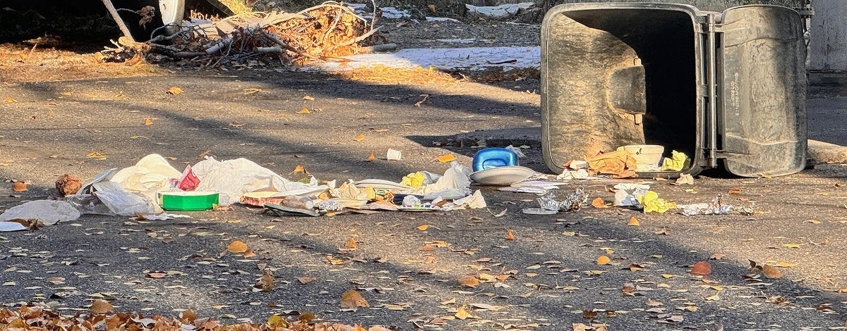 Garbage is scattered after a bear gets into a residential garbage cart