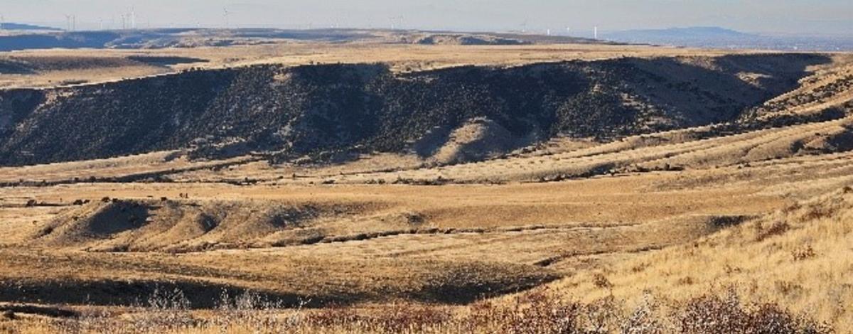 Wide vista view of Tex Creek acquisition and grassland