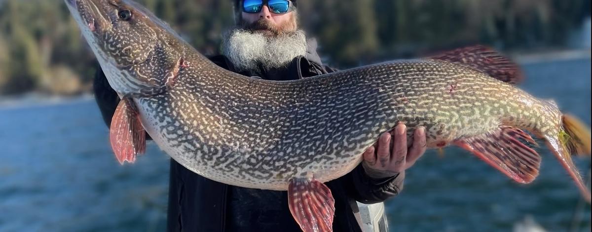 Certified state record northern pike caught in Hayden Lake, Idaho.