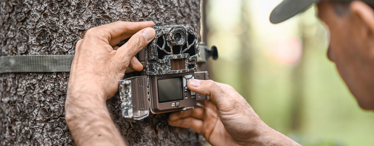 hunter hanging trail camera