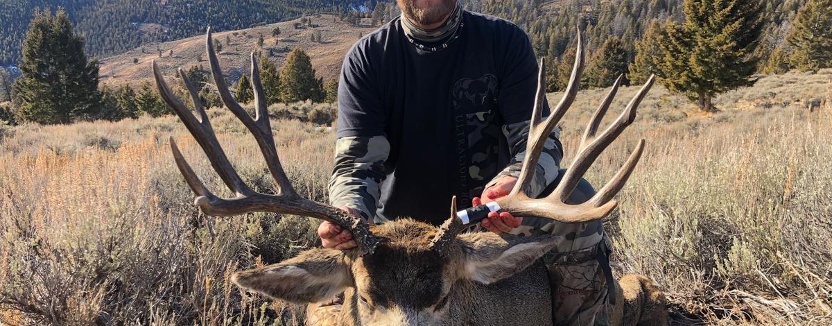 SH Combo Mule Deer 2019 Chase Ashcroft.jpg
