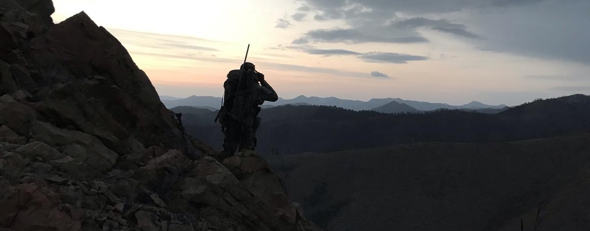 Hunter glassing for deer and elk