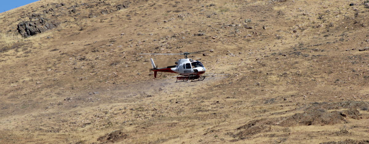 aerial_spraying_helicopter_magicvalley