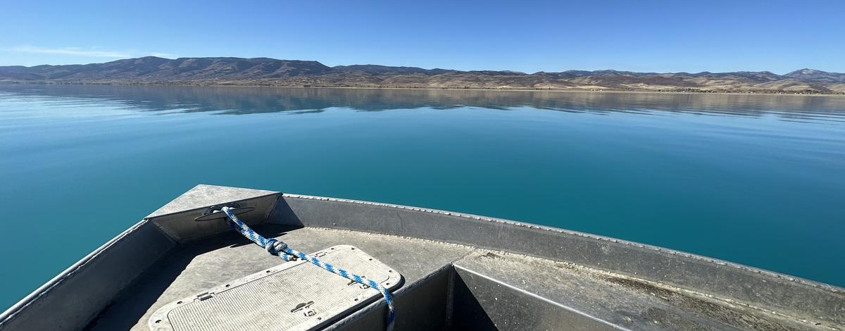 The bow of a jet boat projecting out onto a serene turquoise blue lake with distant mountains shown in the background.  A cloudless blue sky is shown above.