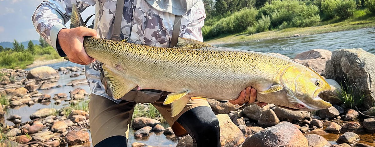 USR angler w/ chinook