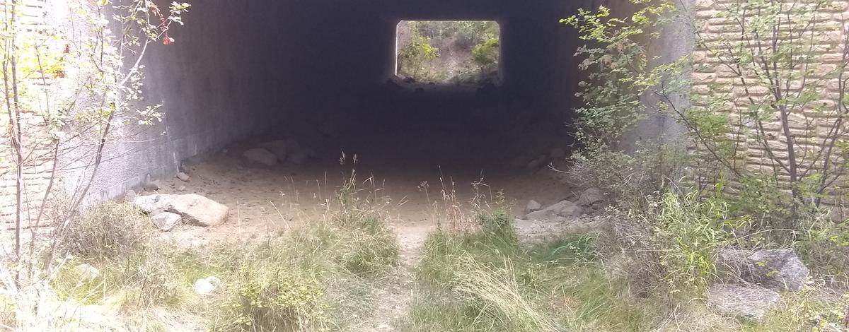 Inside view of wildlife underpass on US Highway 95 in North Idaho