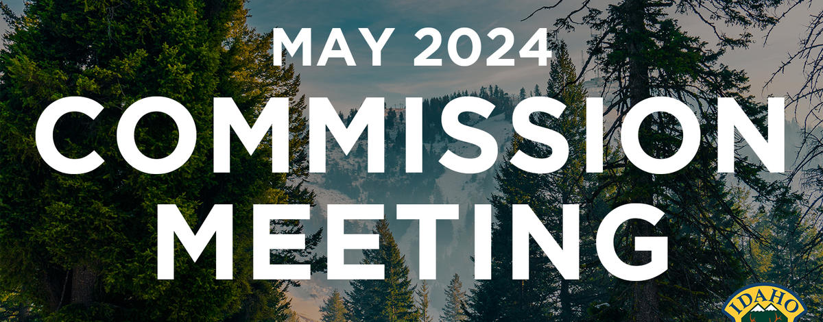 thumbnail commission meeting may 2024
