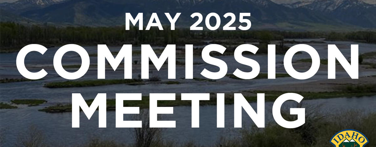 May 2025 commission meeting thumbnail
