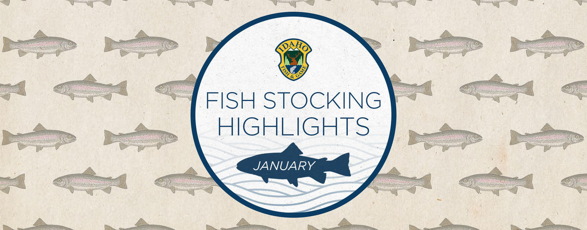 january monthly stocking highlights