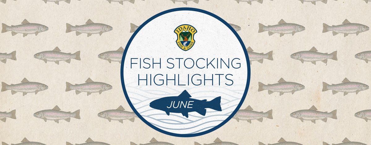 Statewide Trout Stocking Highlights For June 2023 Idaho Fish And Game Statewide Trout Stocking Highlights For June 2023 Idaho Fish And Game