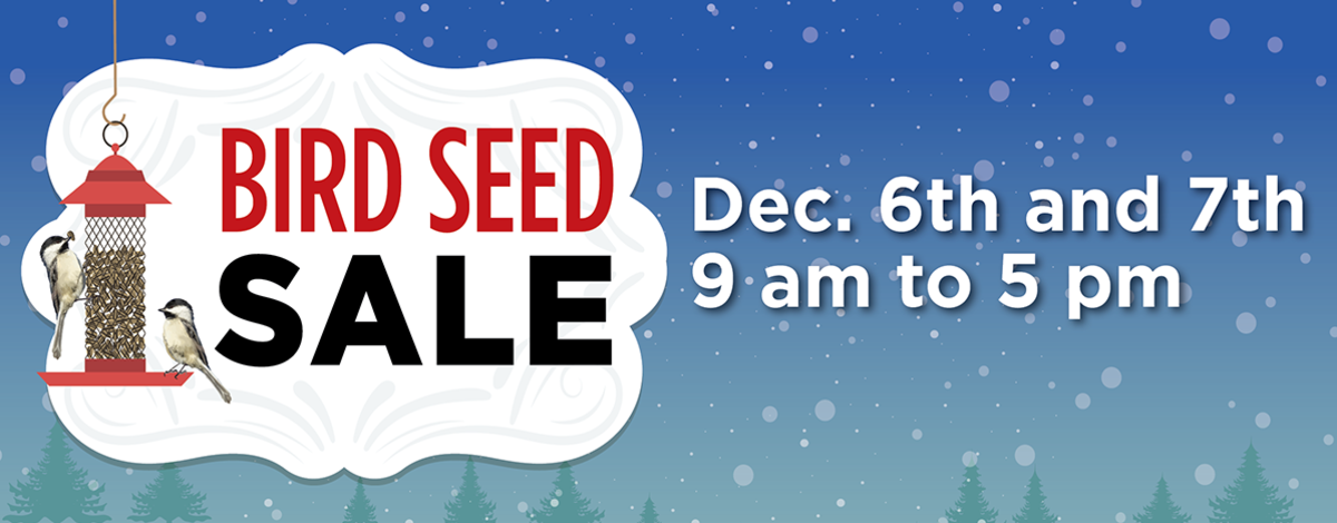 Birdseed sale 2024